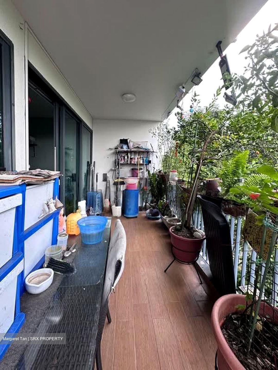 Kingsford Waterbay (D19), Apartment #541174771